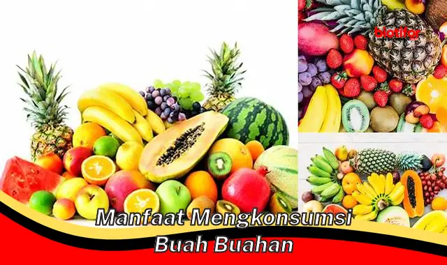 5 Manfaat Buah Yang Jarang Diketahui