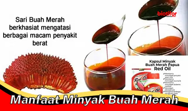 5 Manfaat Minyak Buah Merah yang Jarang Diketahui