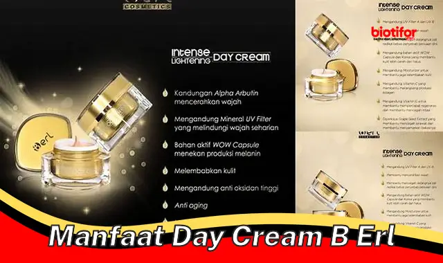 Temukan Manfaat Day Cream B Erl yang Jarang Diketahui