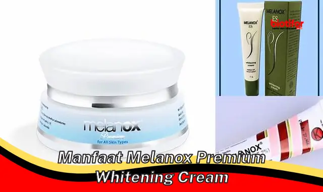 Temukan Manfaat Meladox Premium Whitening Cream yang Jarang Diketahui