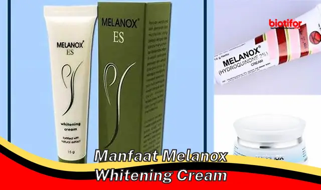 Temukan 5 Manfaat Melanox Whitening Cream yang Jarang Diketahui
