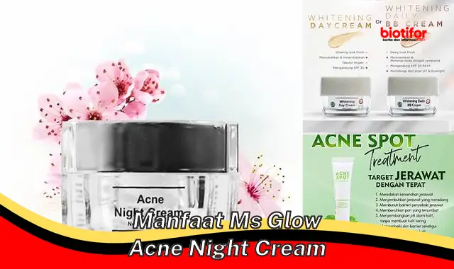 Temukan Manfaat Ms Glow Acne Night Cream yang Jarang Diketahui