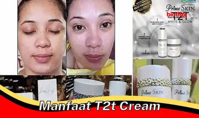 Temukan Manfaat T2T Cream yang Jarang Diketahui