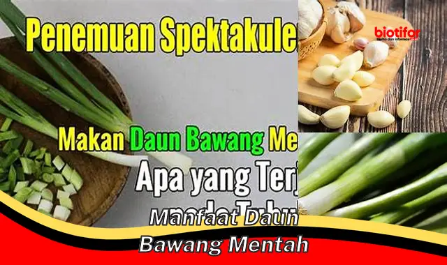 manfaat daun bawang mentah manfaat daun bawang mentah