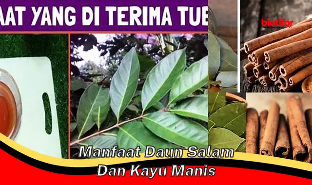 Temukan Khasiat Daun Salam dan Kayu Manis yang Jarang Diketahui