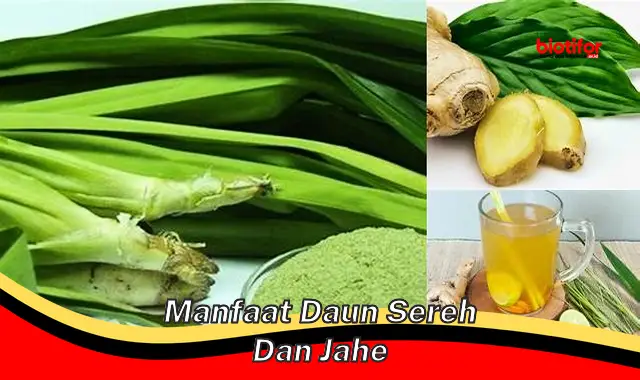 Temukan Manfaat Daun Sereh dan Jahe yang Jarang Diketahui