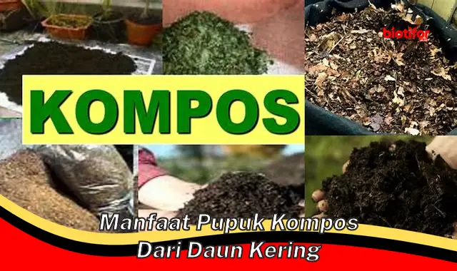 Temukan Manfaat Pupuk Kompos dari Daun Kering yang Jarang Diketahui