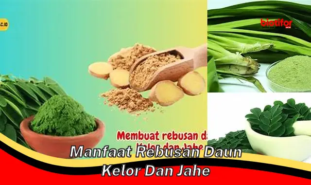 Temukan 5 Manfaat Rebusan Daun Kelor dan Jahe yang Jarang Diketahui!