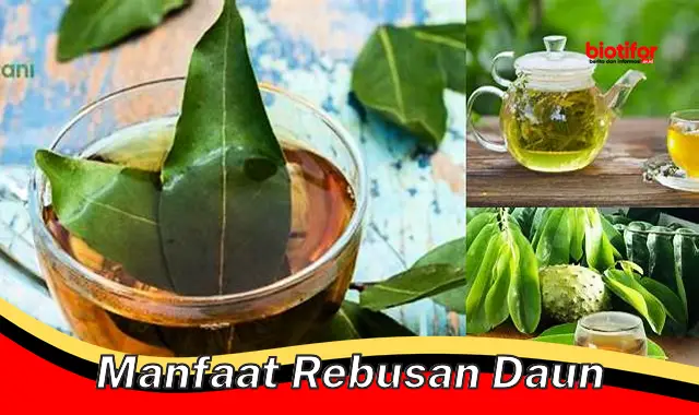 Temukan Rahasia Manfaat Merebus Daun yang Jarang Diketahui