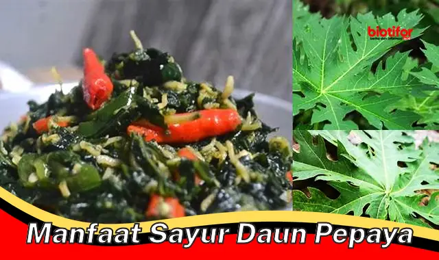 Temukan Manfaat Sayur Daun Pepaya yang Jarang Diketahui