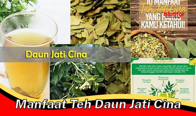 Temukan Khasiat Teh Daun Jati Cina yang Jarang Diketahui