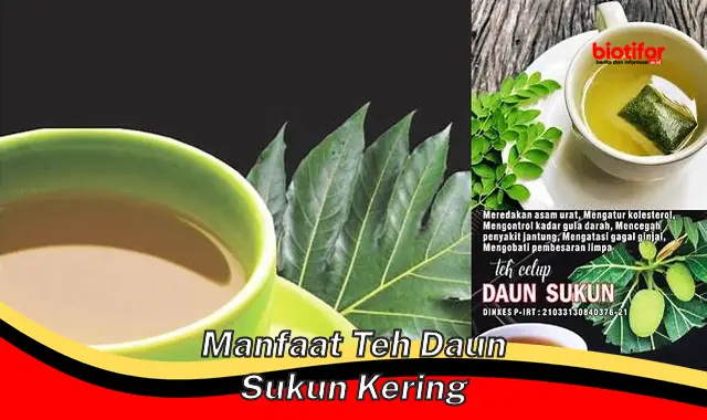 Temukan Manfaat Teh Daun Sukun Kering yang Jarang Diketahui