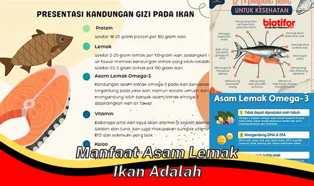 Temukan Manfaat Asam Lemak Ikan yang Belum Diketahui