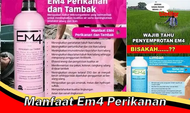 Temukan Manfaat EM4 Perikanan yang Jarang Diketahui