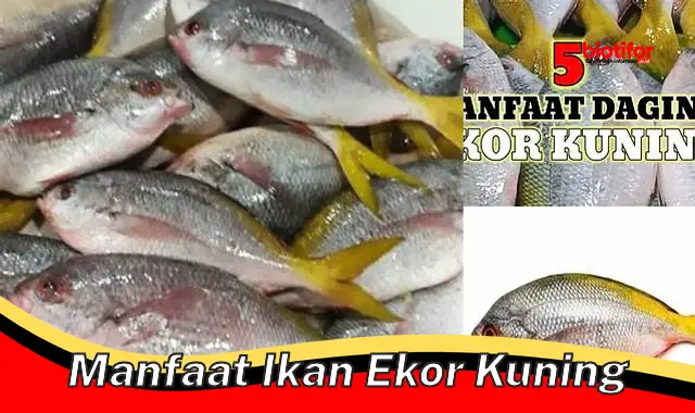 Temukan Manfaat Ikan Ekor Kuning yang Perlu Anda Ketahui