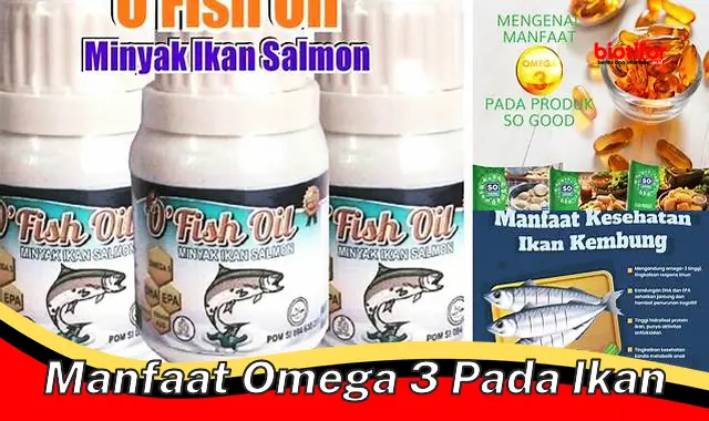 Temukan Manfaat Omega 3 Pada Ikan yang Jarang Diketahui