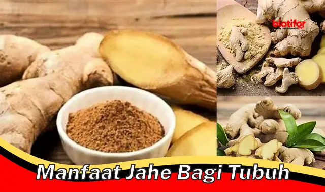 Temukan 5 Manfaat Jahe bagi Tubuh yang Perlu Anda Tahu