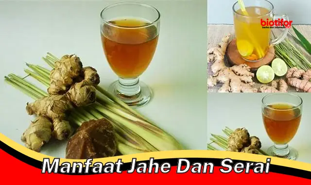 Temukan Rahasia Manfaat Jahe dan Serai yang Jarang Diketahui