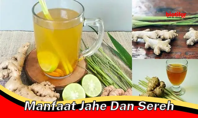 Temukan Manfaat Jahe dan Sereh yang Jarang Diketahui