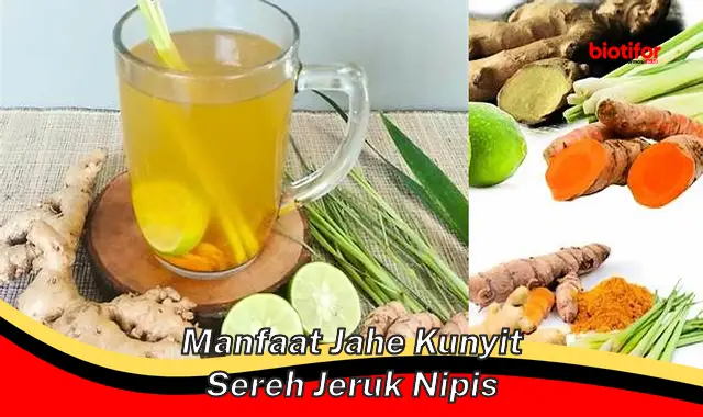 5 Manfaat Jahe, Kunyit, Sereh, Jeruk Nipis yang Jarang Diketahui