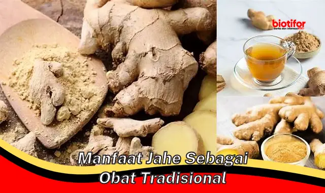 Temukan 5 Khasiat Jahe sebagai Obat Tradisional yang Jarang Diketahui