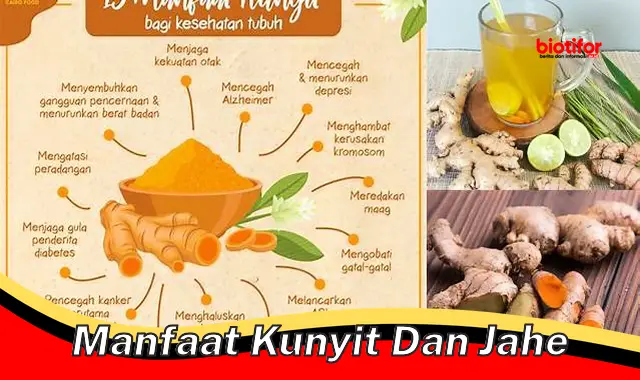 Temukan Khasiat Kunyit dan Jahe yang Jarang Diketahui