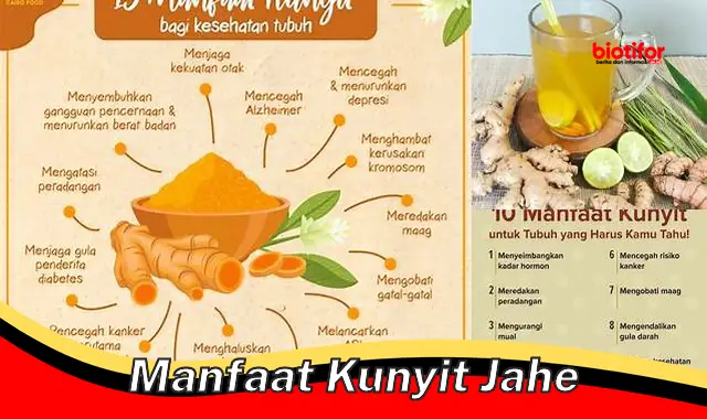 Temukan Manfaat Kunyit Jahe yang Jarang Diketahui