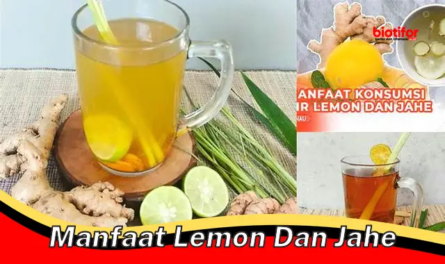 Temukan Manfaat Lemon dan Jahe yang Jarang Diketahui