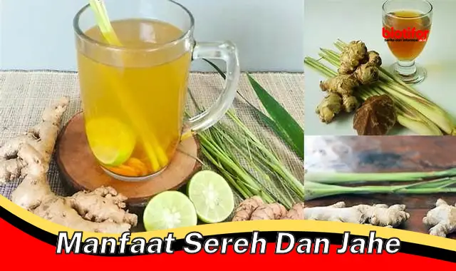 Temukan Khasiat Serai dan Jahe yang Perlu Kamu Tahu