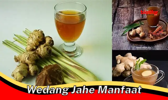 Temukan Manfaat Wedang Jahe yang Jarang Diketahui