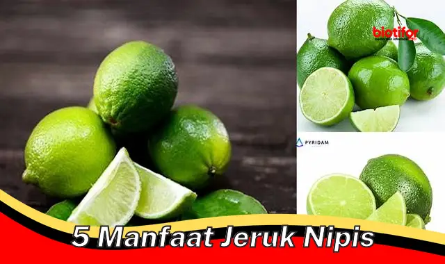 Temukan Khasiat Jeruk Nipis: 5 Manfaat Jarang Diketahui