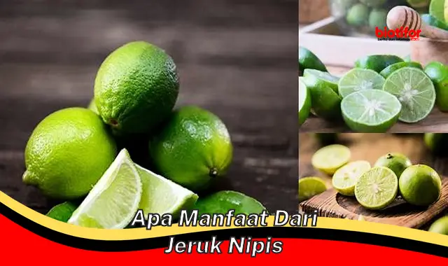 Temukan Manfaat Jeruk Nipis yang Jarang Diketahui