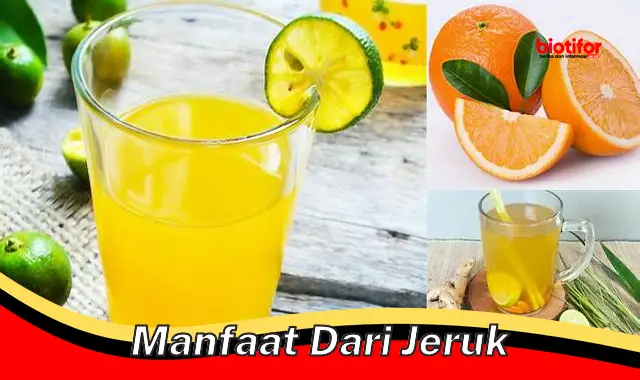 Temukan Manfaat Jeruk yang Belum Diketahui