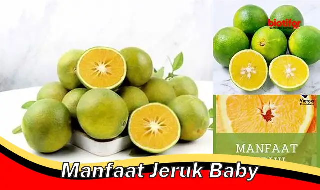 Temukan Manfaat Jeruk Baby yang Jarang Diketahui