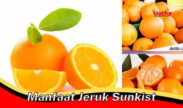 Temukan Rahasia Jeruk Sunkist yang Jarang Diketahui