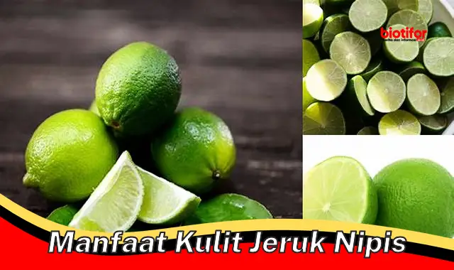 Temukan Manfaat Kulit Jeruk Nipis yang Belum Anda Ketahui