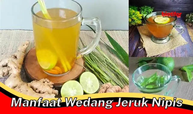 Temukan Rahasia Jeruk Nipis yang Jarang Diketahui