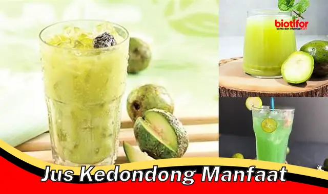 Temukan 5 Manfaat Jus Kedondong yang Wajib Anda Tahu