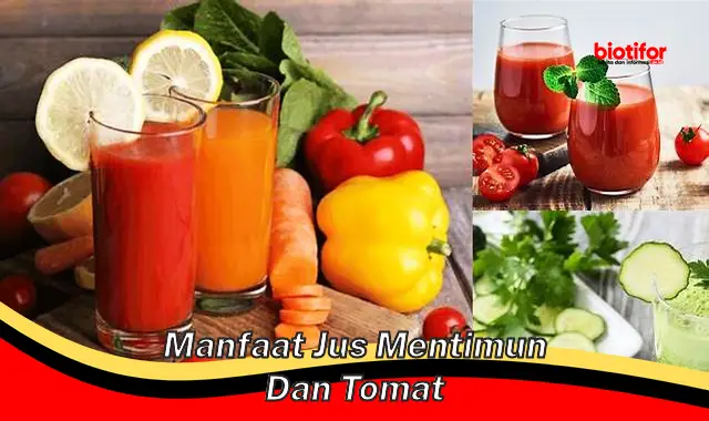 Temukan 5 Manfaat Jus Mentimun dan Tomat yang Jarang Diketahui