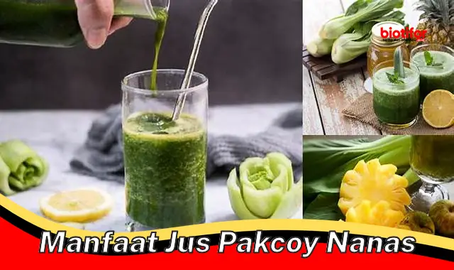 Temukan Manfaat Jus Pakcoy Nanas Yang Perlu Kamu Ketahui