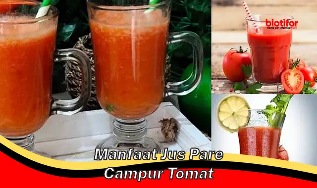 Temukan 5 Manfaat Jus Pare Campur Tomat yang Belum Anda Tahu!