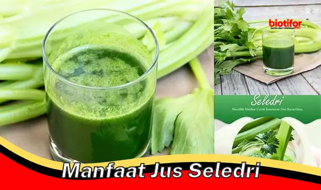 Temukan 5 Manfaat Jus Seledri yang Jarang Diketahui