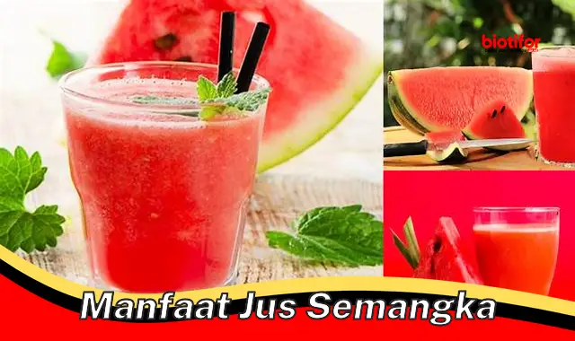 Temukan 5 Manfaat Jus Semangka yang Jarang Diketahui