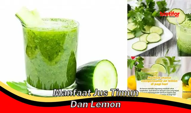 Menyingkap Manfaat Jus Timun dan Lemon yang Perlu Diketahui