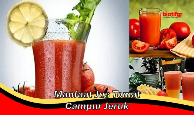 Ungkap 5 Manfaat Jus Tomat Campur Jeruk yang Jarang Diketahui