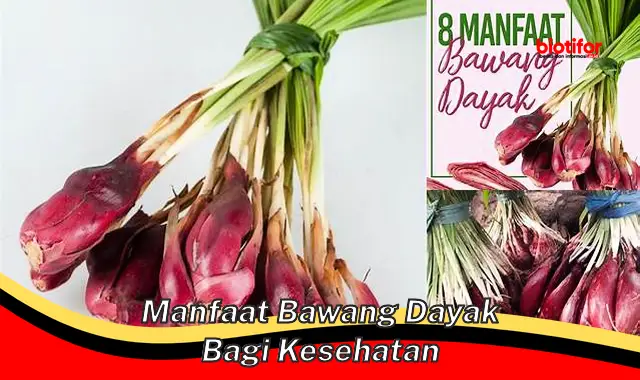 Temukan Khasiat Bawang Dayak Bagi Kesehatan yang Jarang Diketahui