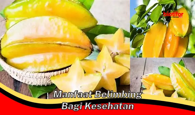 Temukan Rahasia yang Jarang Diketahui: 5 Manfaat Belimbing bagi Kesehatan