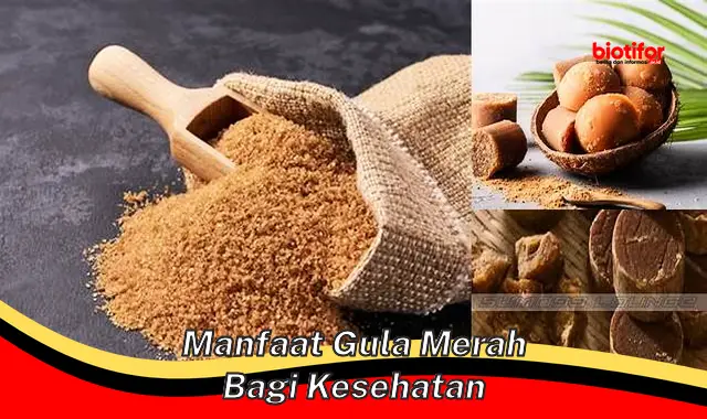 Temukan Manfaat Gula Merah bagi Kesehatan yang Jarang Diketahui