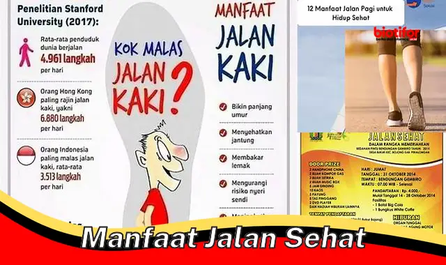 Temukan Manfaat Jalan Sehat yang Jarang Diketahui