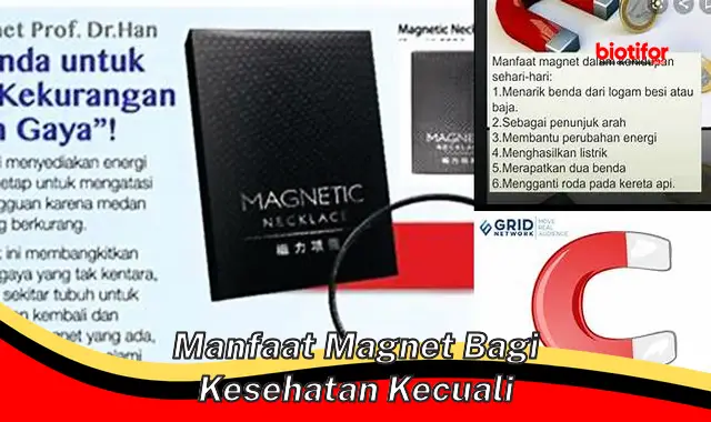 manfaat magnet bagi kesehatan kecuali manfaat magnet bagi kesehatan kecuali